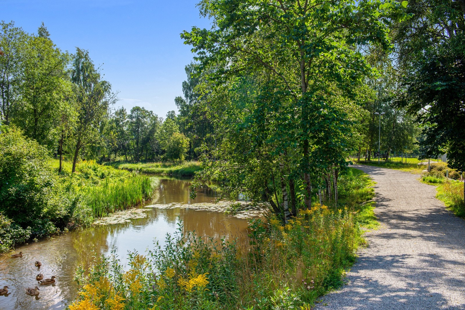 Sagelva byr på naturskjønne turmuligheter og et rolig elvelandskap. Galleribilde
