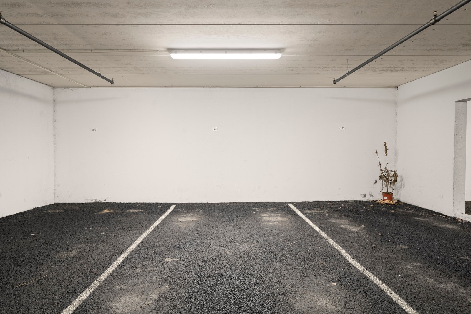 Garasjeplass i parkeringshus. Galleribilde