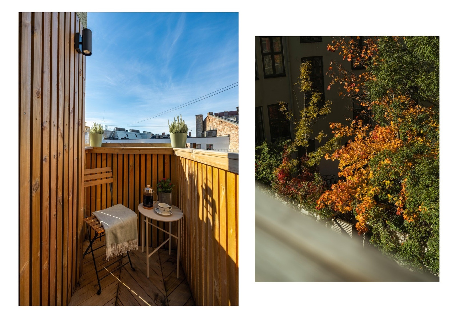 Vend blikket opp mot klar himmelretning, eller ned mot frodig bakgård. Galleribilde