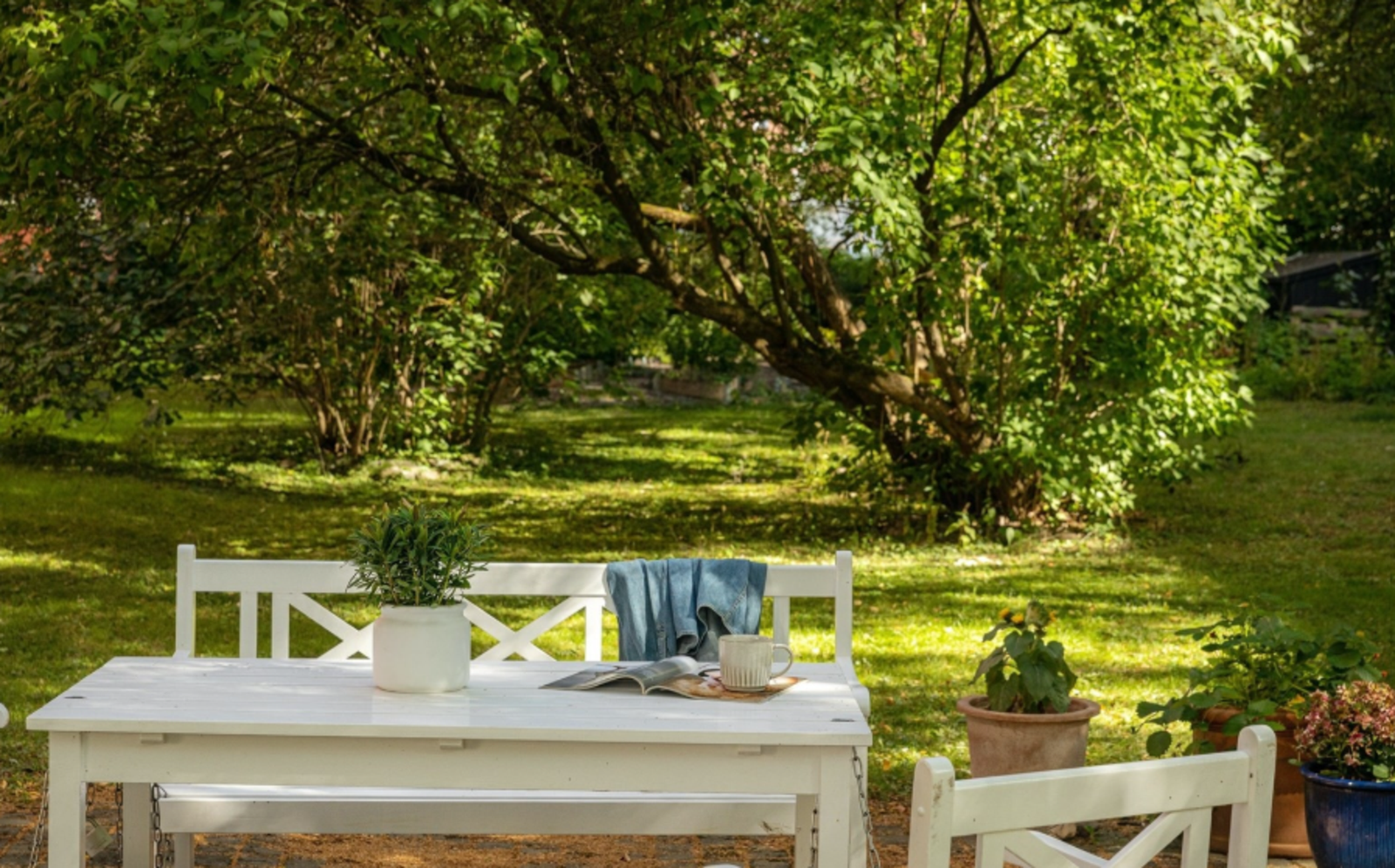 Sommer i bakgården. Galleribilde