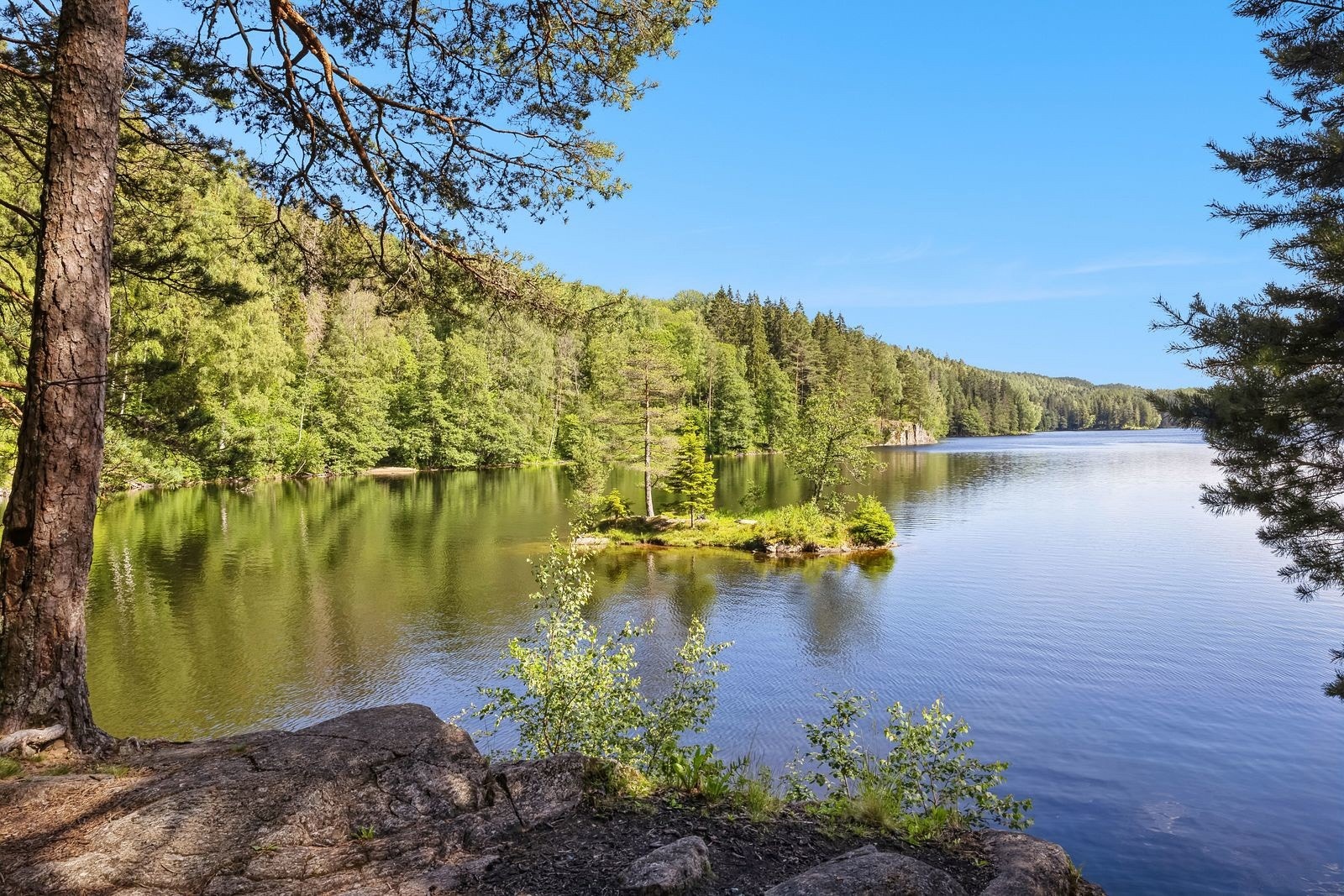 Fra Haakon Tveters vei 53 er det kort vei til Østmarka, som byr på et rikt friluftsliv med turstier, badeplasser og skiløyper i sesong Galleribilde