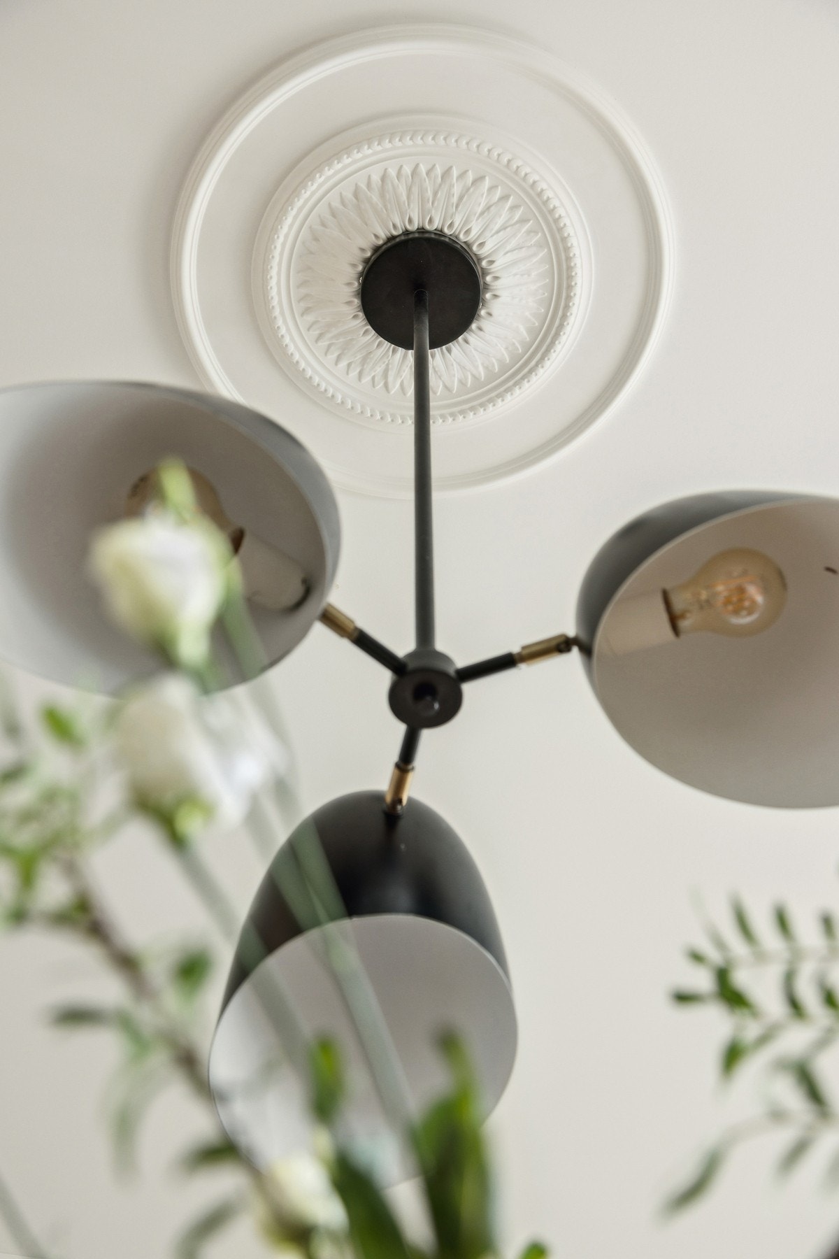 Nydelige rosetter i takene Galleribilde