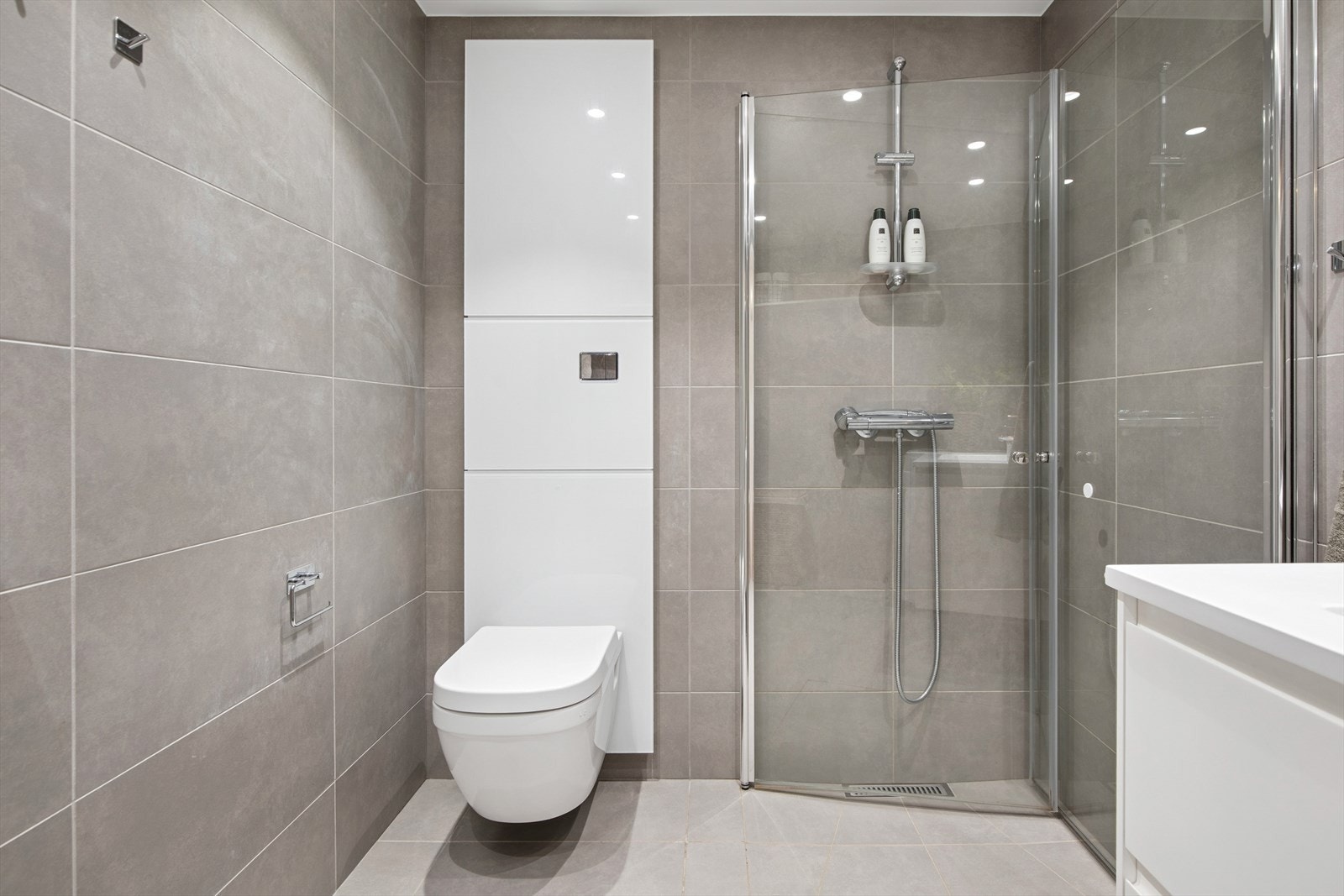 Vegghengt toalett og et praktisk dusjhjørne med innfellbare dører Galleribilde