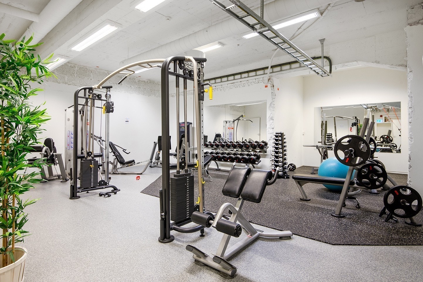 Felles treningsrom i kjeller Galleribilde