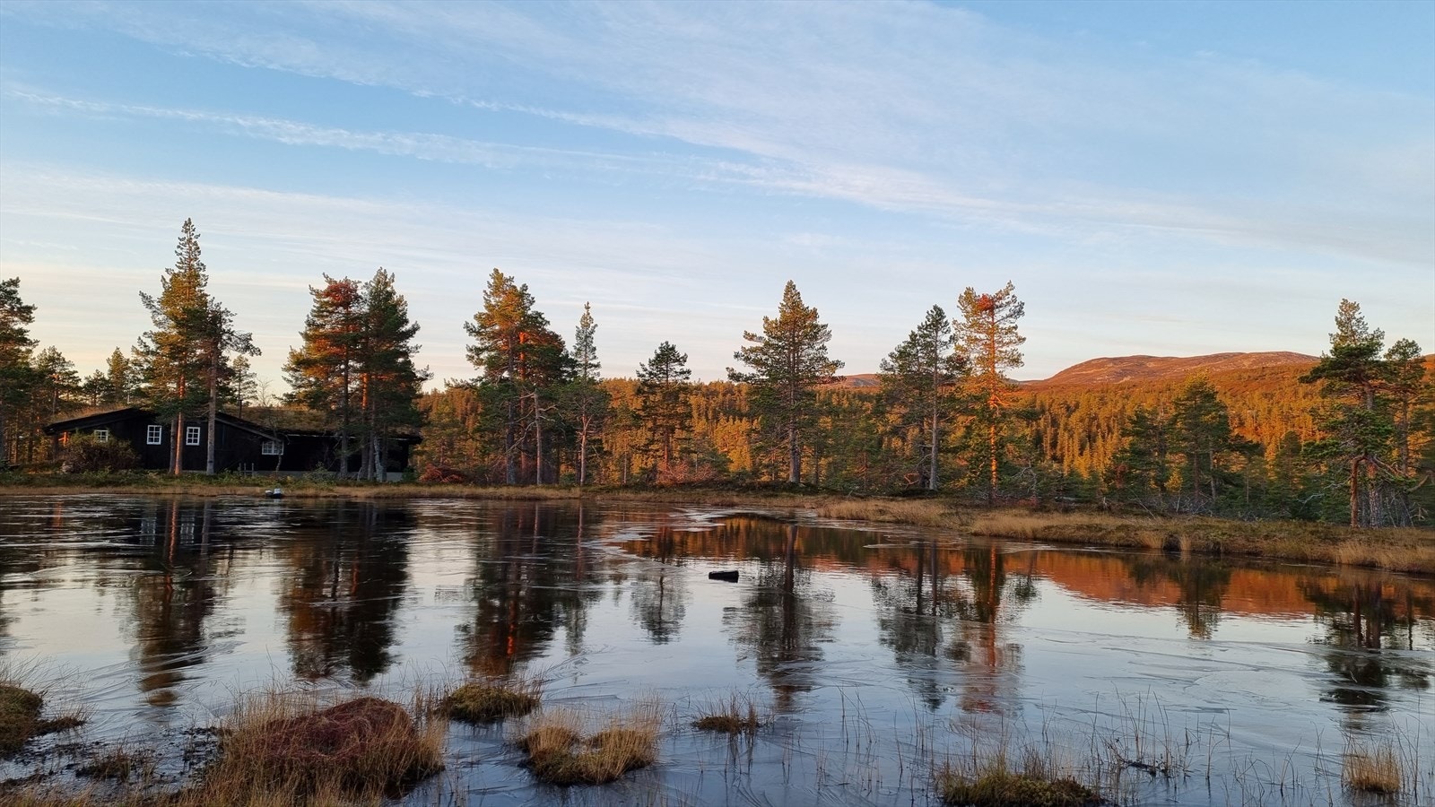 Private områdebilder fra selger. Galleribilde