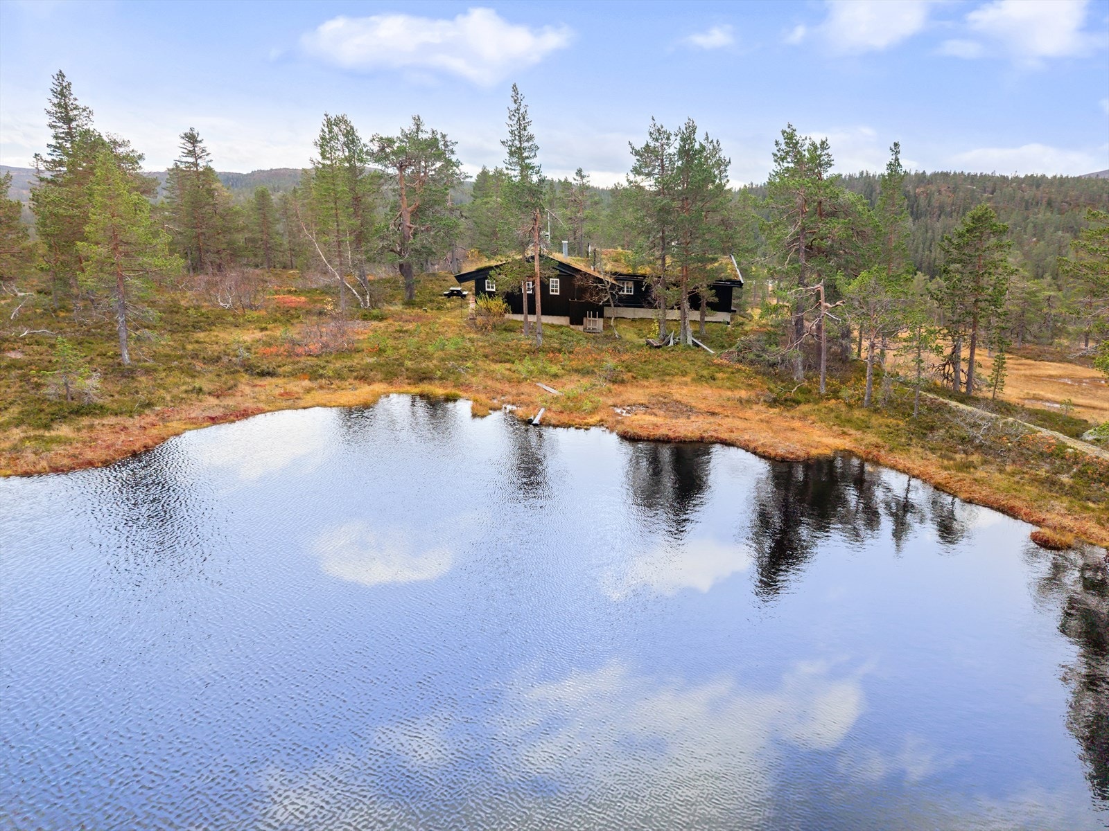 Hytta ligger vakkert og fredelig til omgitt av stille natur og yrende dyreliv. Galleribilde