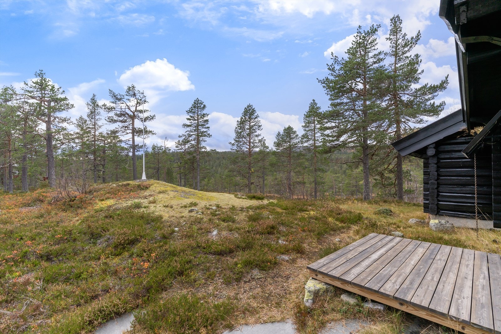 Usjenert og fint tun, med egen flaggvimpel på tomta. Arealet man disponerer er over 10,8 mål. Galleribilde