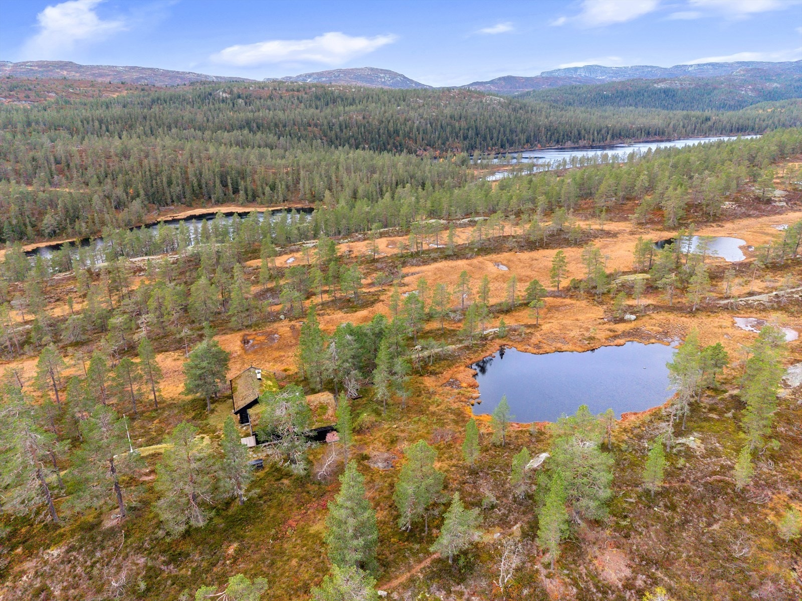 Flatende terreng med vann, myrer, fjellknauser og fullvoksen furuskog. Umiddelbar tilgang på høyfjellet innover, på den nordligste delen av Blefjell, med mest fjellterreng Galleribilde