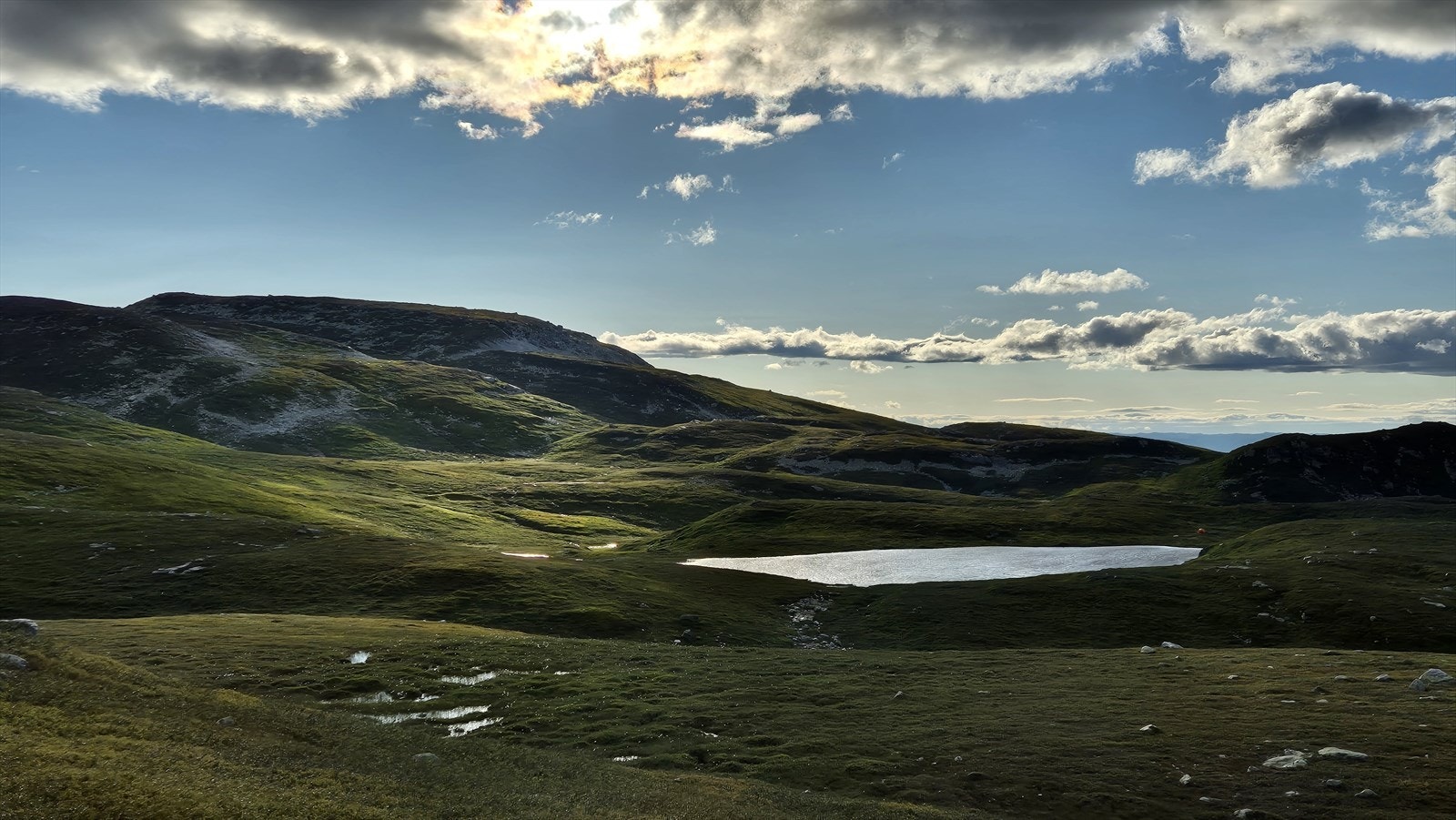 Private områdebilder fra selger. Galleribilde