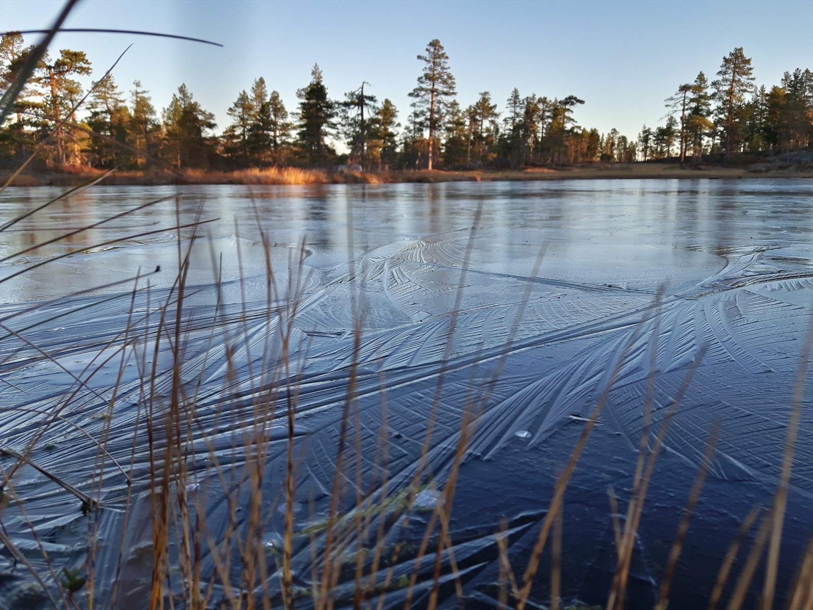 Private områdebilder fra selger. Galleribilde