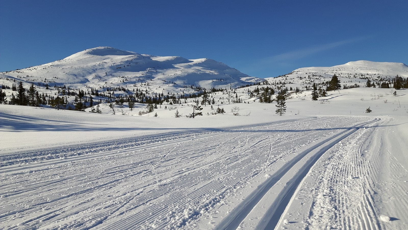 Privat områdebilde fra selger. Vinterstid, med trikkeskinner innover fjellet. Galleribilde