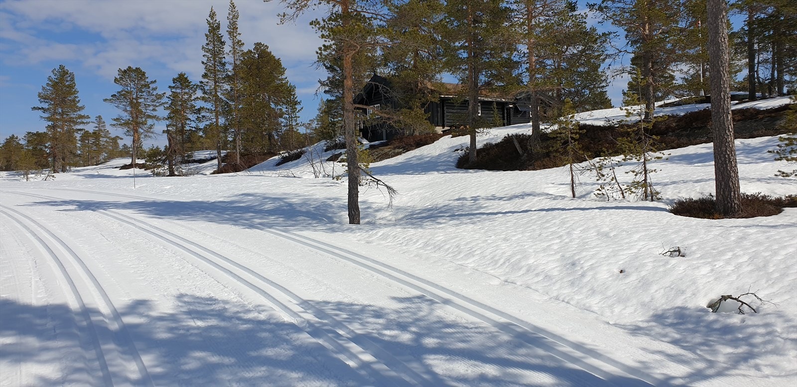 Private områdebilder fra selger. Skiløypene går rett forbi hytta. Galleribilde