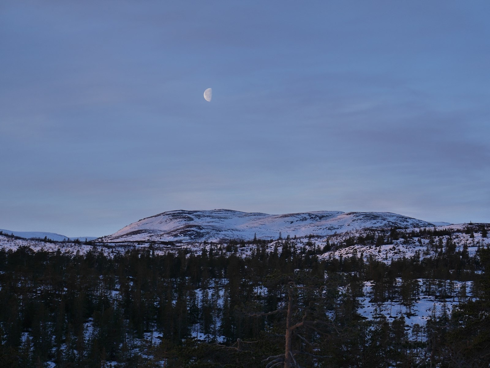 Private områdebilder fra selger. Utsikten fra hytta. Galleribilde