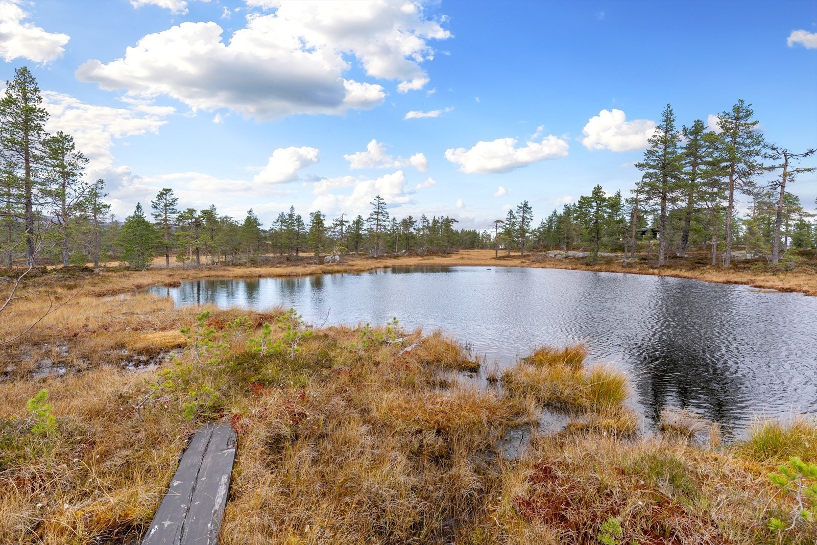Hytta ligger usjenert til, omgitt av furuskog, myrdrag og vid utsikt over fjellandskapet - et sted der stillheten og skogens ro - rask fanger hvilepulsen. Galleribilde