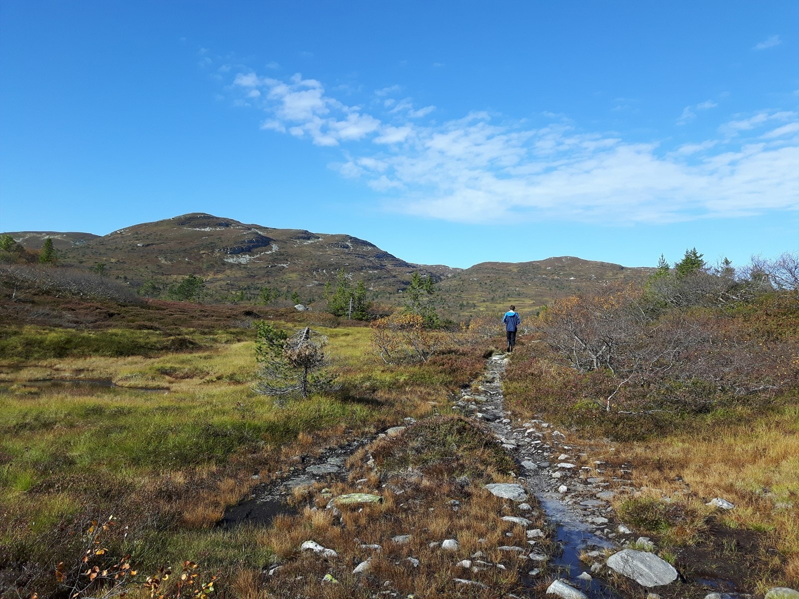 Private områdebilder fra selger. Galleribilde