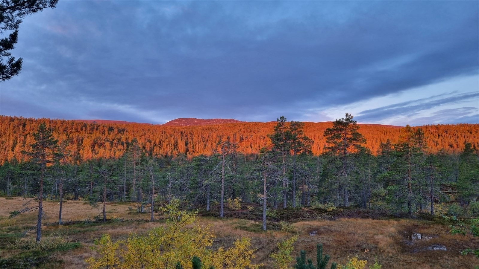 Private områdebilder fra selger. (utsikten fra hytta) Galleribilde