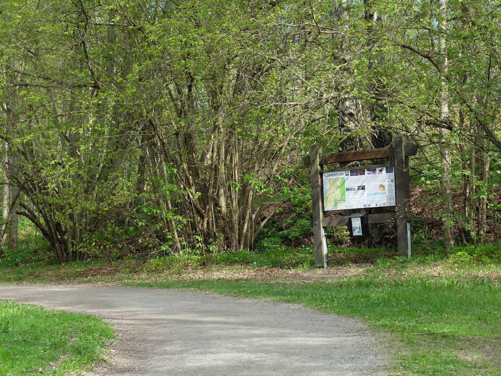 Vakre turstier langs Ljanselva alle sesonger Galleribilde