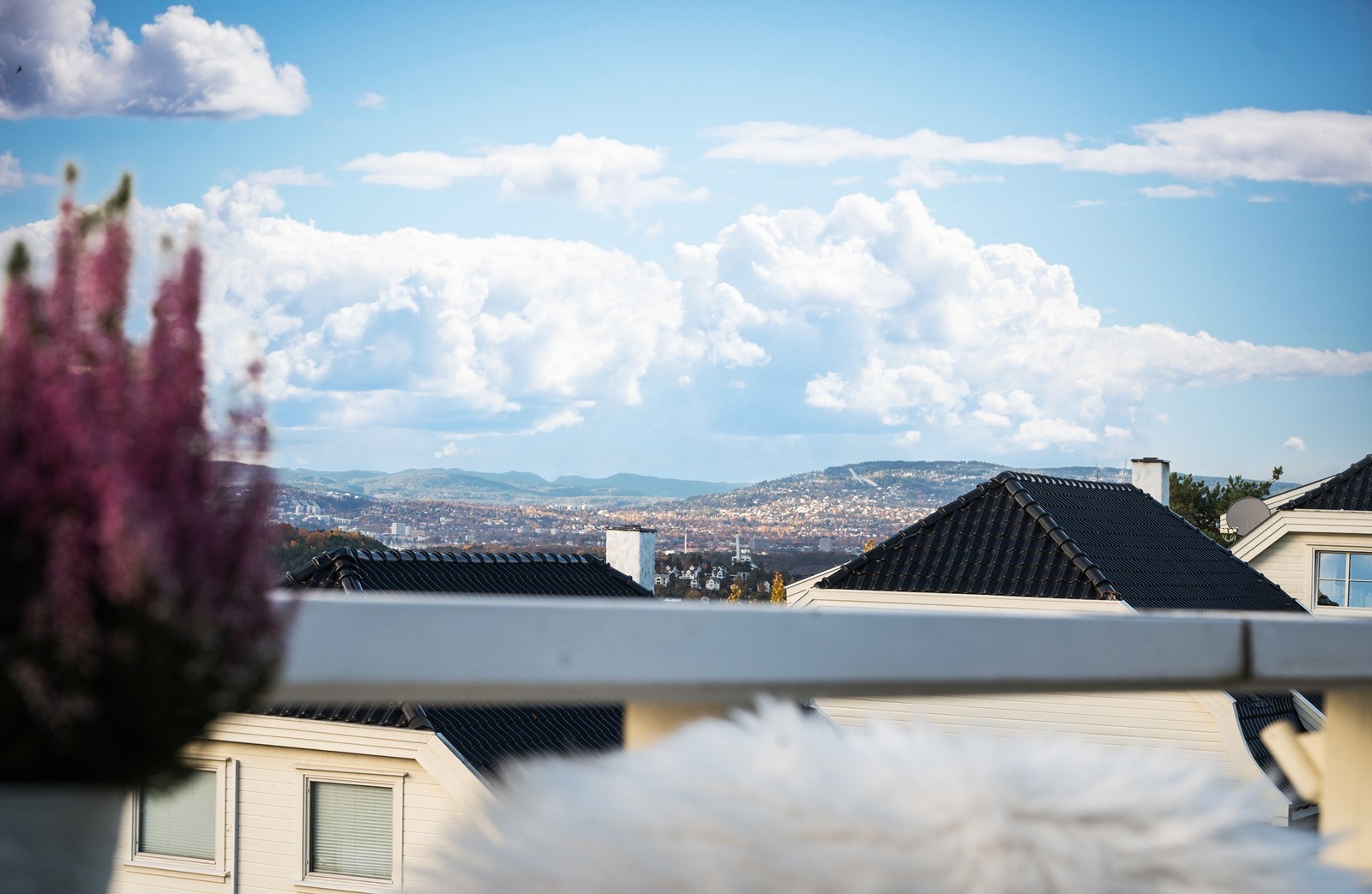 Fantastisk utsikt! Galleribilde