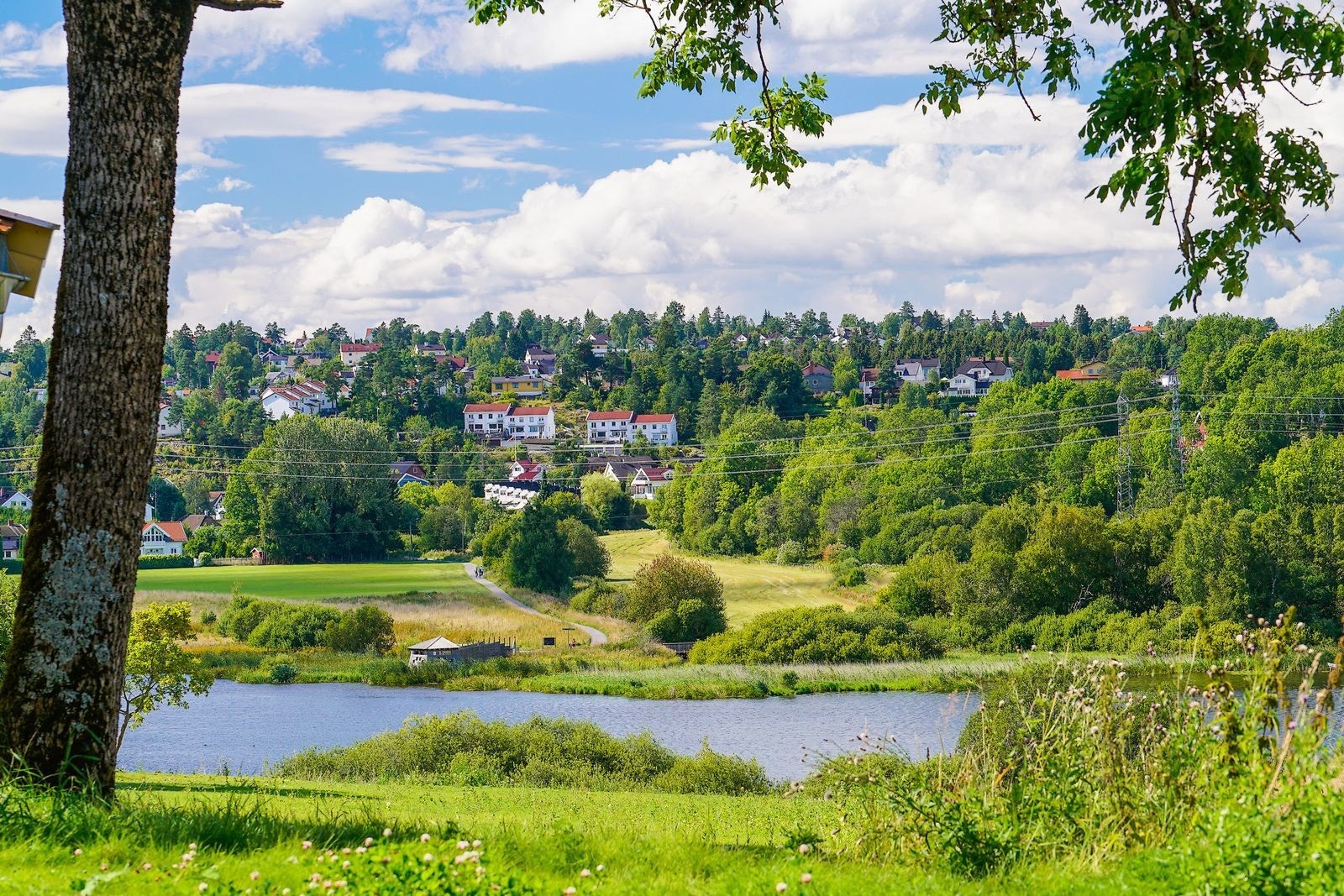 En kort tur fra leiligheten finner du Østensjøvannet med grønne omgivelser og flotte rekreasjonsmuligheter Galleribilde