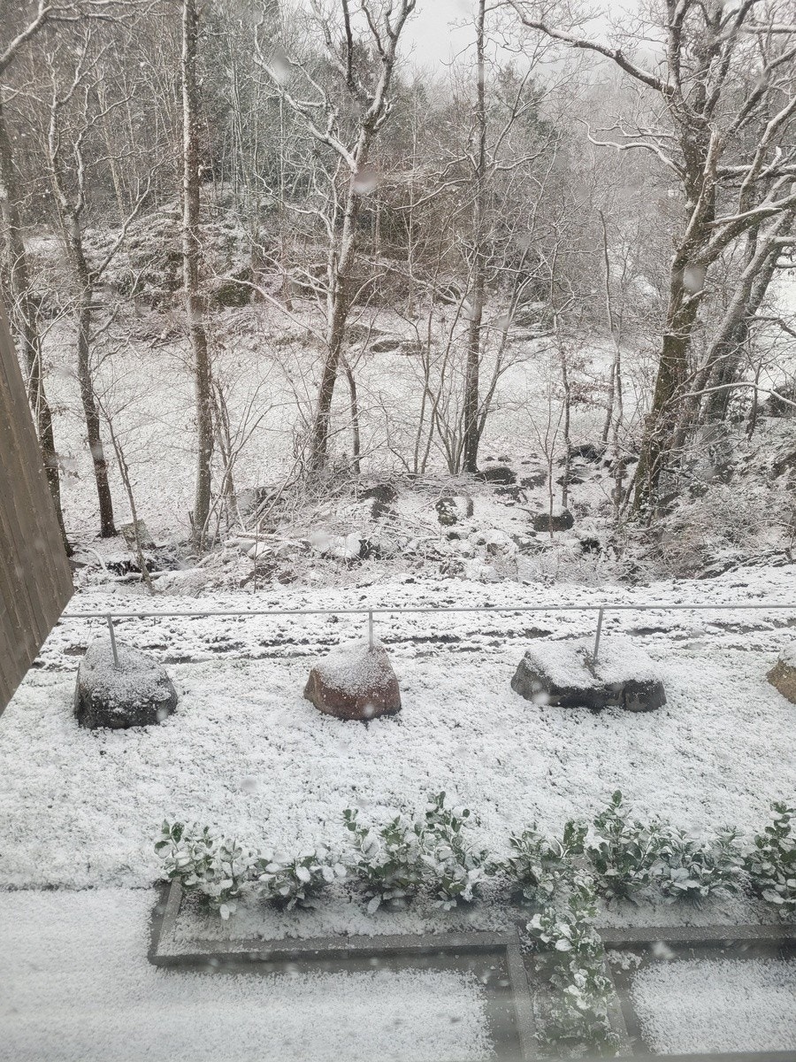 Utikst fra veranda Galleribilde