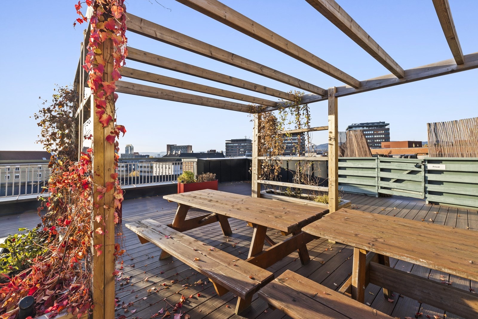Idyll på takterrassen, med beplantning og plass til mange. Galleribilde