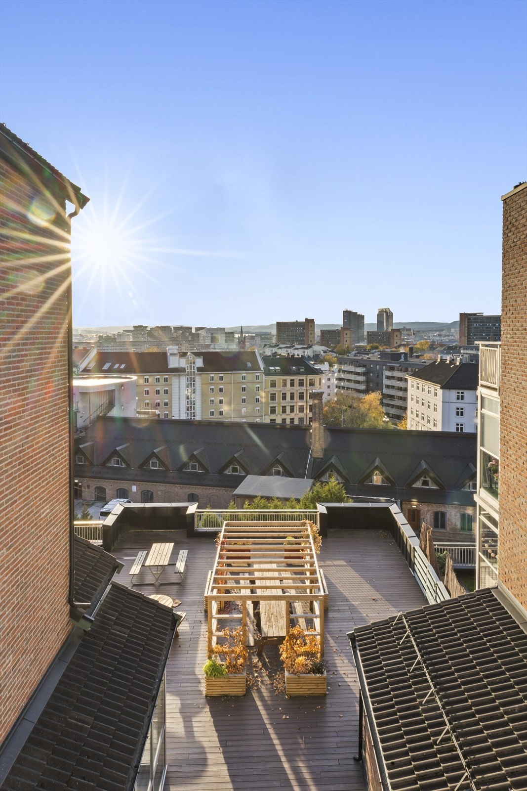 Høyt og fritt over byens tak! Galleribilde