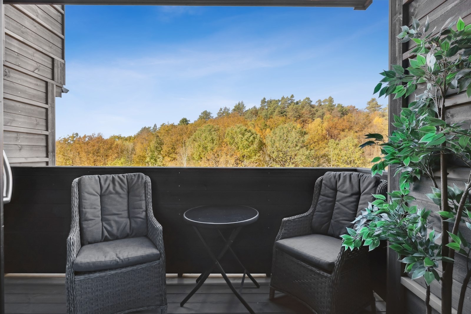 Koselig og hjemlig uteplass. Galleribilde