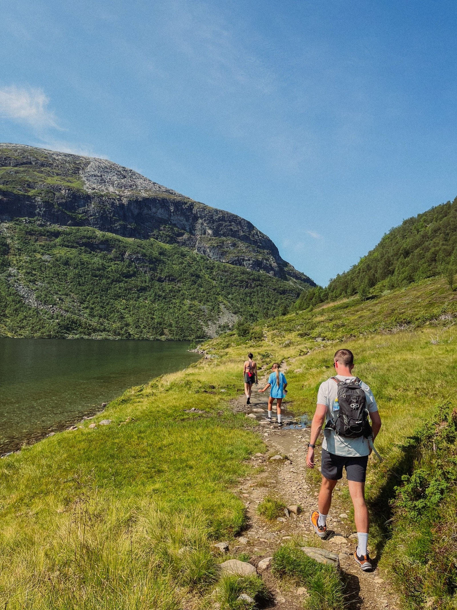 Slondalen Galleribilde