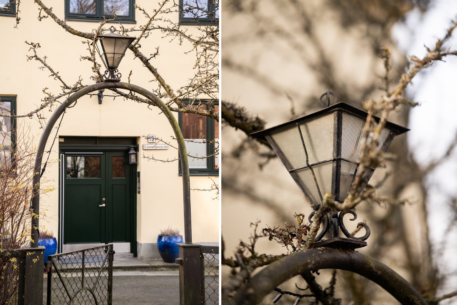 Hyggelig felleshage i sameiet Galleribilde