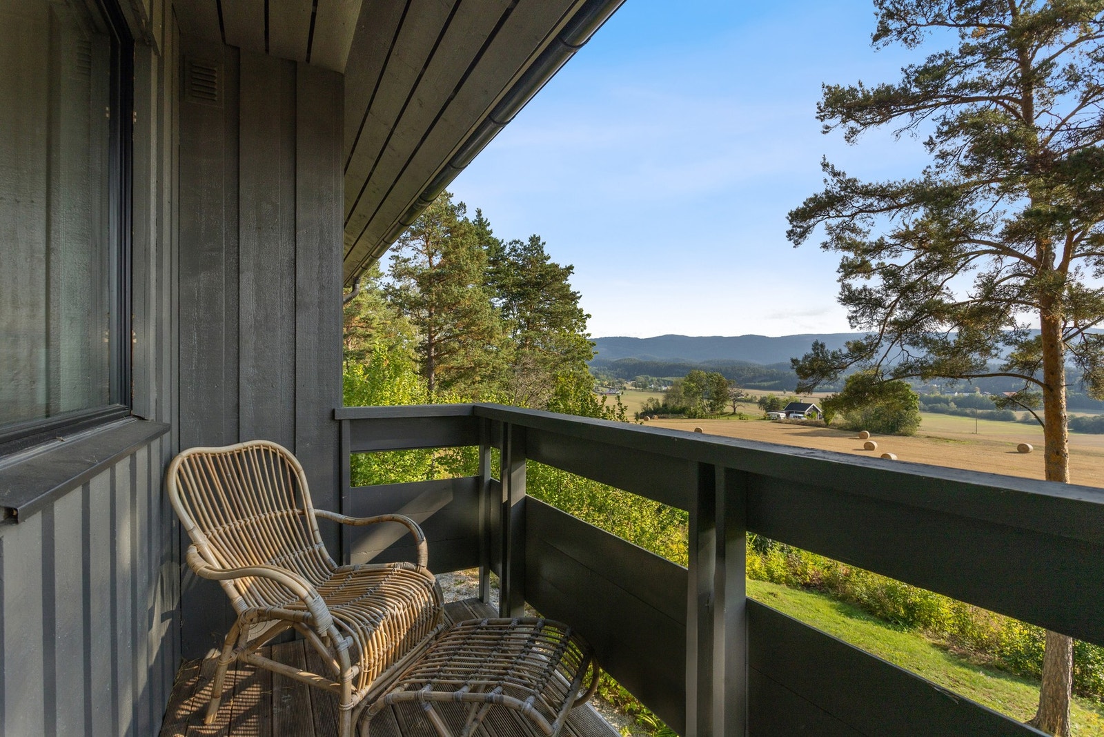 Nyt en god bok med idylliske omgivelser rundt deg under lesestunden Galleribilde