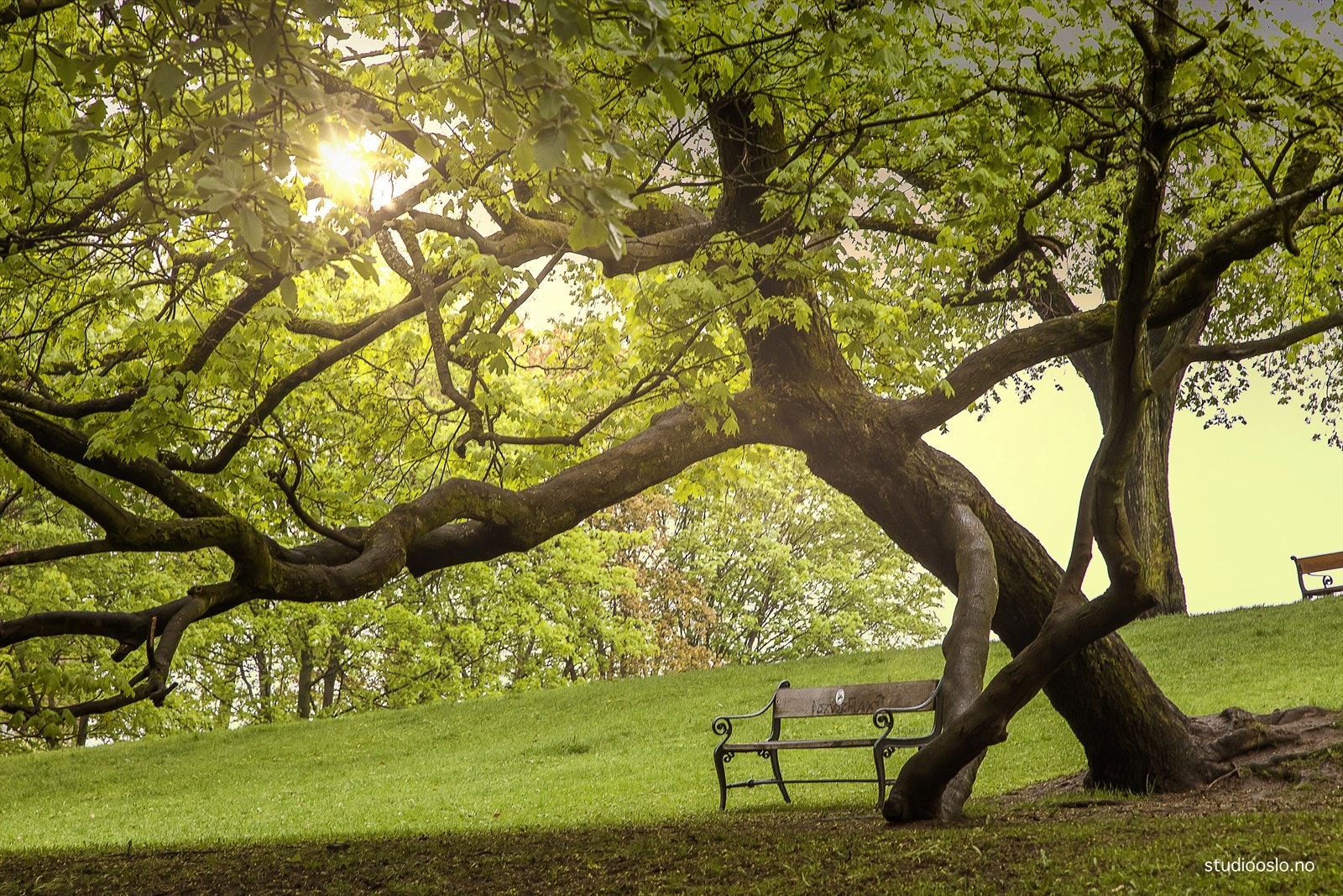 Området er preget av nydelig arkitektur og ligger like ved Uranienborgparken og Slottsparken. Galleribilde
