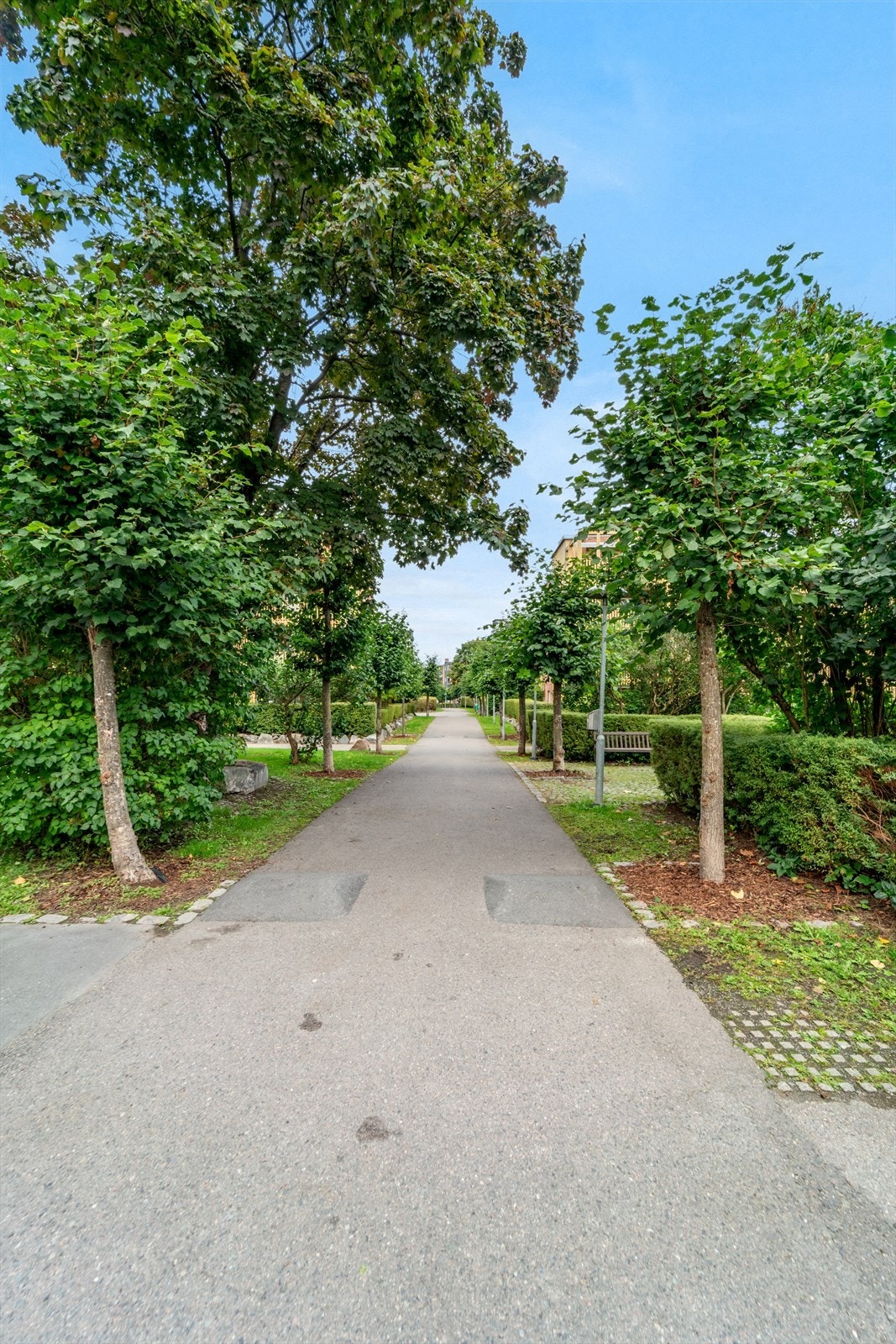 Rolige og skjermet omgivelser som er pent opparbeidet med trær, hekker og bilfrie internveier. Galleribilde