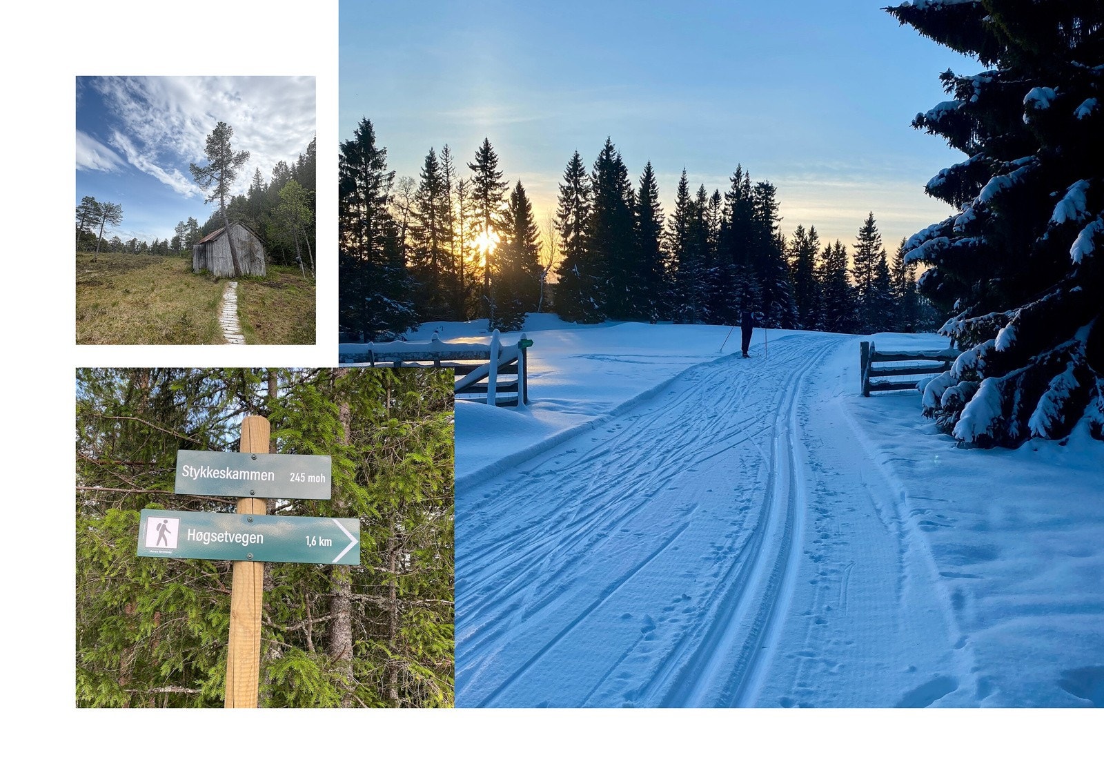 Her har man tilgang på flotte turmuligheter rett utenfor døren. Mulighetene er store med turløyper til Orkanger og Skaun med mange tilrettelagte stier og fantastiske skispor fra Seljan som strekker seg milevis og byr på fantastiske opplevelser. Galleribilde
