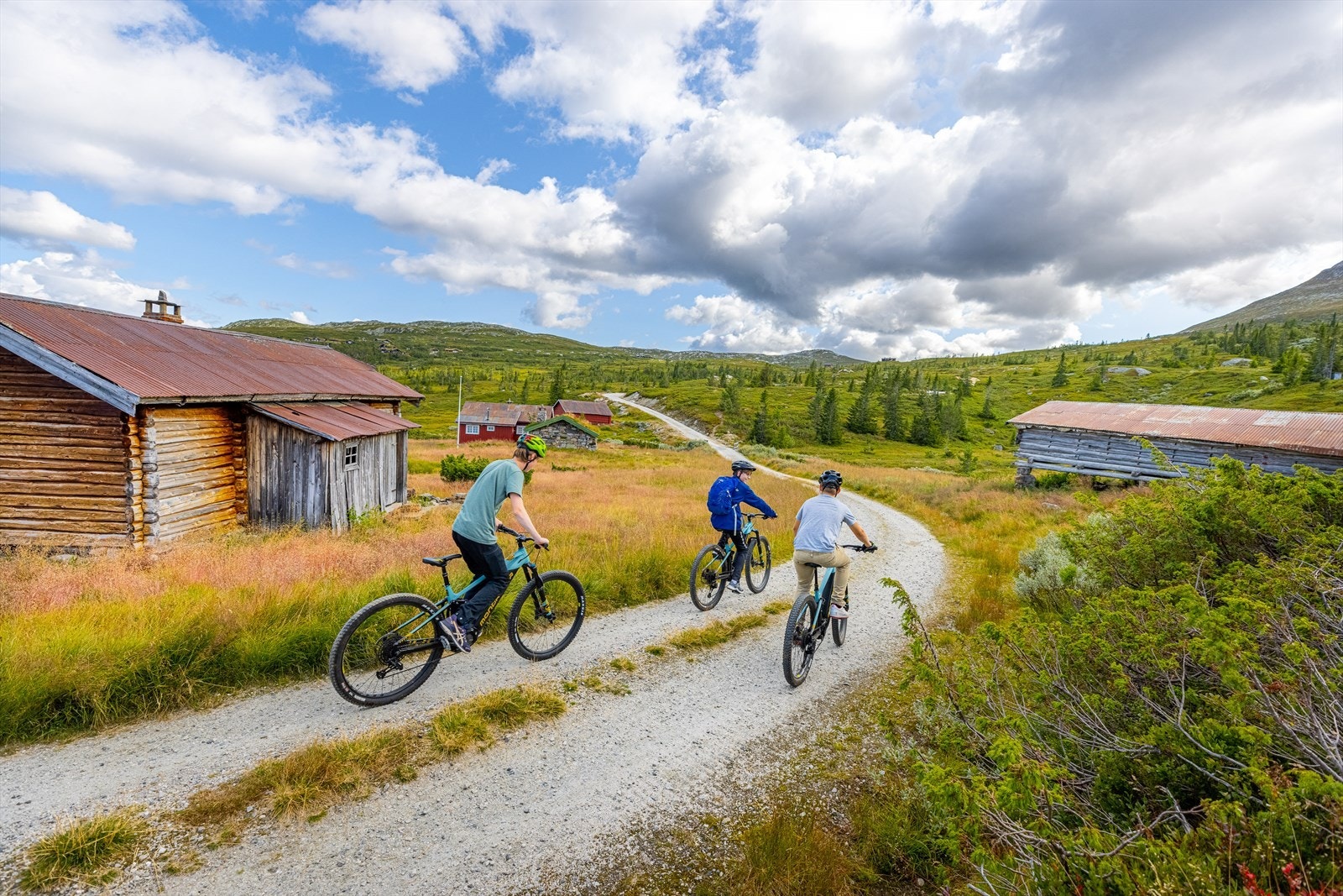 Høgevarde legger opp til storstilt utvikling av nye sykkelstier på naturens premisser. Galleribilde