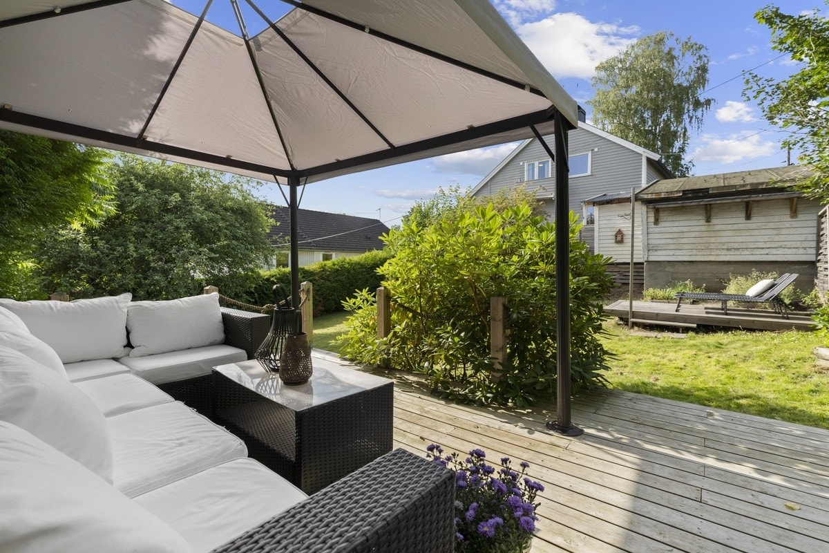 Sosial sittegruppe Galleribilde