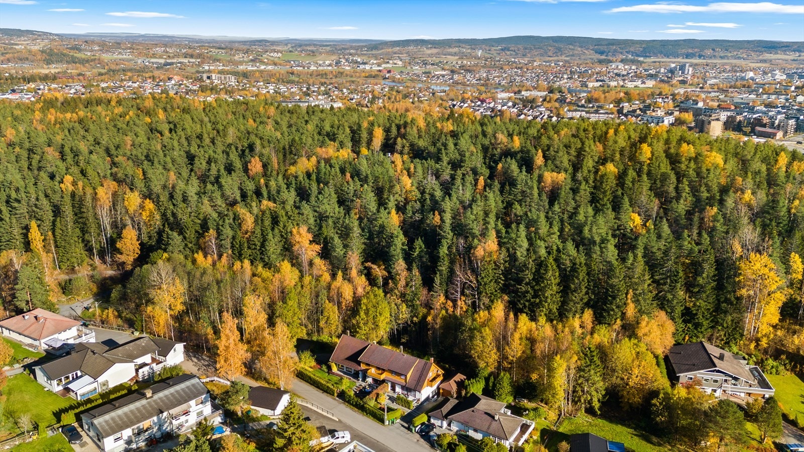 Eiendommen grenser inntil et stort skogsområde. Galleribilde