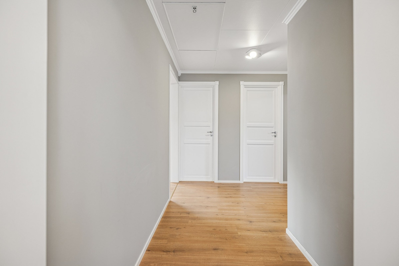 Gangen binder sammen rommene i hovedetasjen og har malte speildører fra byggeåret. Galleribilde