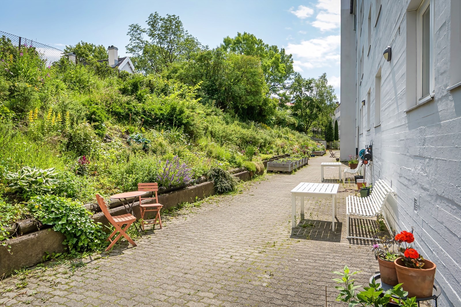 Aksjelaget har svært hyggelige og opparbeidet fellesområder. Galleribilde