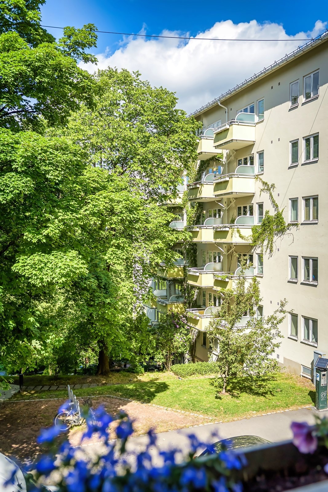 Bilde fra i sommer mot grøntområdene like utenfor. Galleribilde