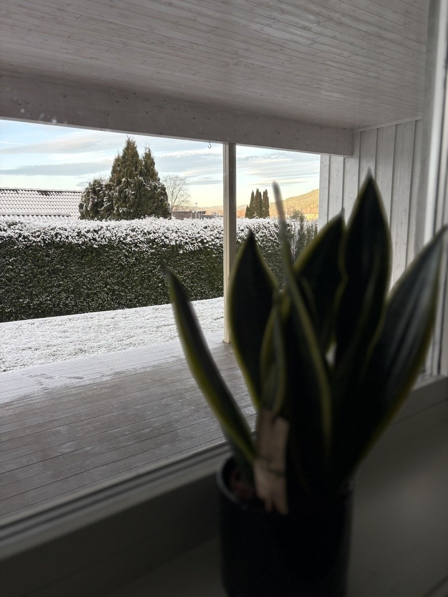 Utsikt fra vinduet i stua Galleribilde