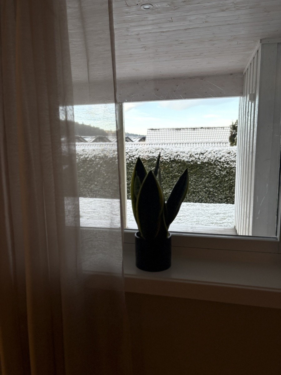 Utsikt fra vinduet i stua Galleribilde