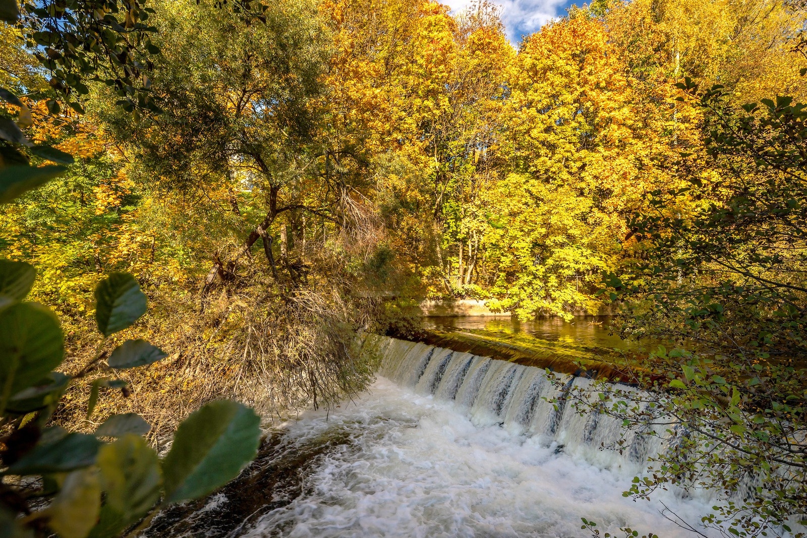 Langs vakre Akerselva som ligger et steinkast unna, finner du bilfrie gang- og sykkelveier som strekker seg helt fra sentrum og opp til Maridalsvannet Galleribilde