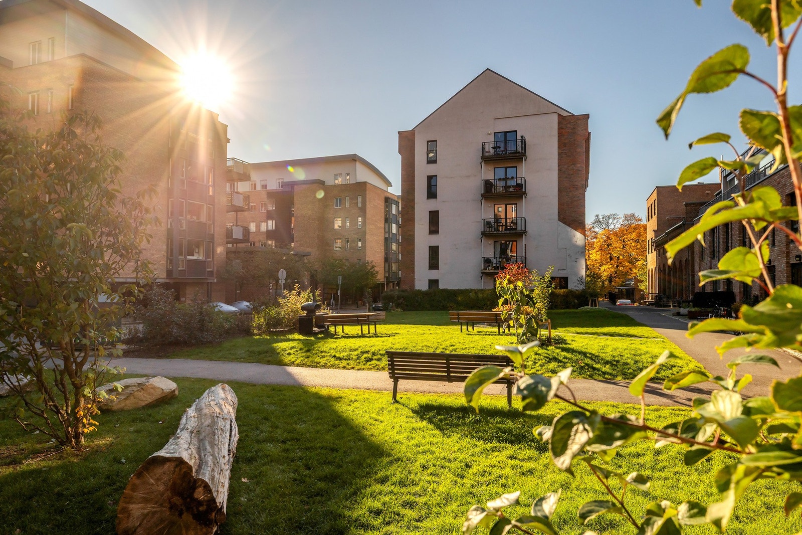 Her finner du grønne plener, sykkelparkering, lekeapparater, plantekasser og sittegrupper Galleribilde