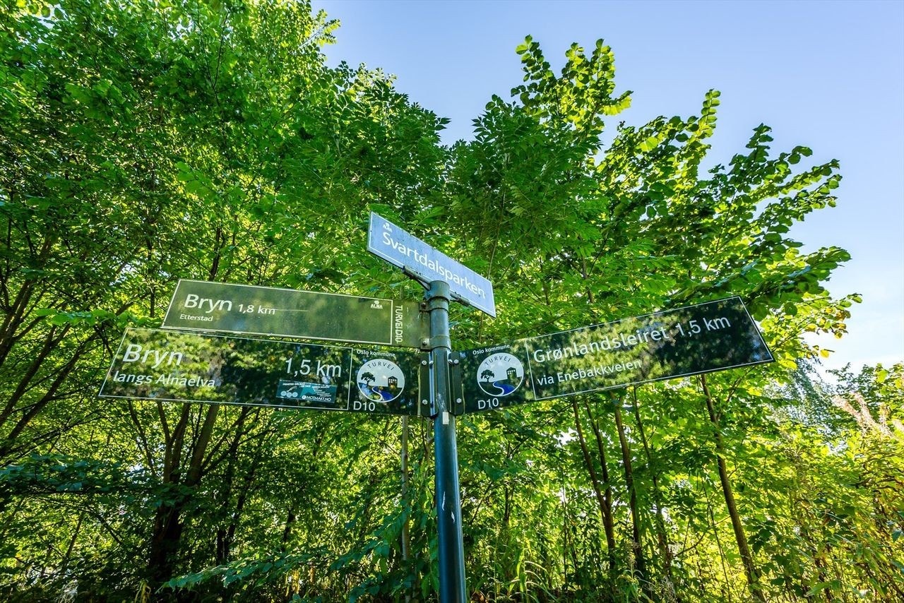 Gode turmuligheter i området. Galleribilde