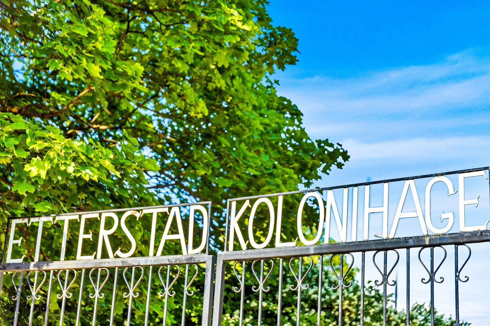 Etterstad kolonihage Galleribilde