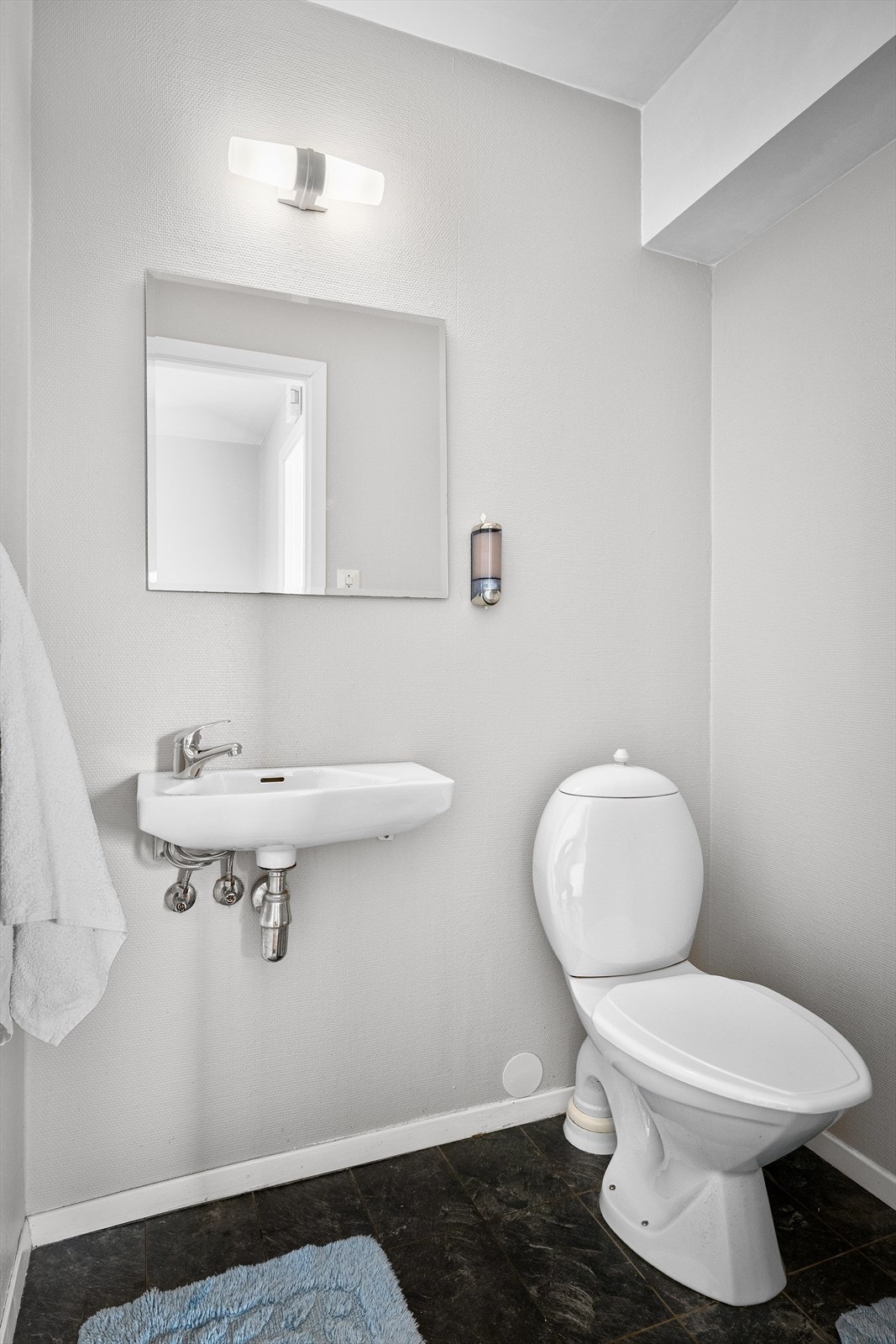 Eget wc med vask Galleribilde