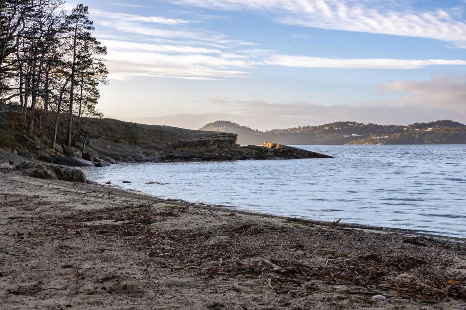 Strandlinje med utsikt over sjøen og skogkledde åser. Galleribilde