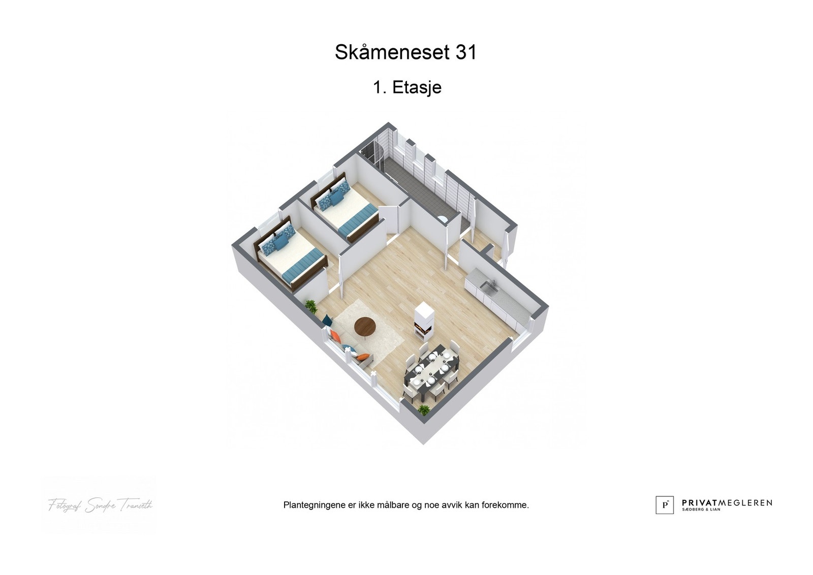 3D skisse Galleribilde