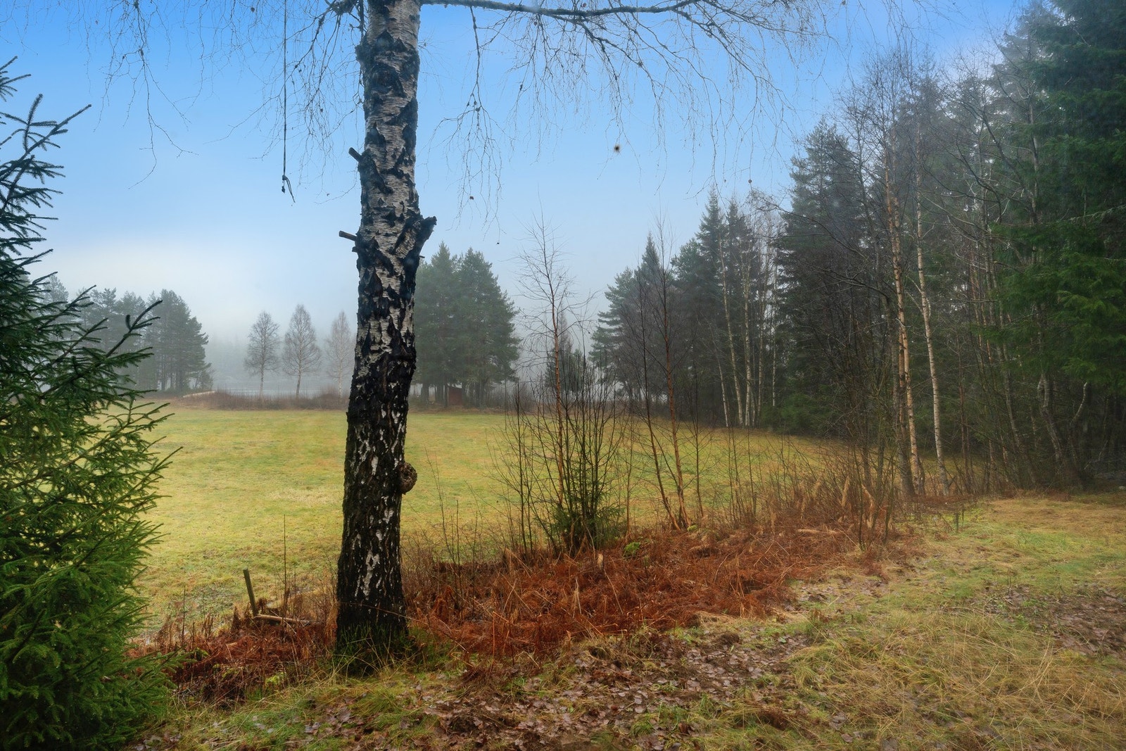Utsikt fra hytta ned mot fjorden Galleribilde