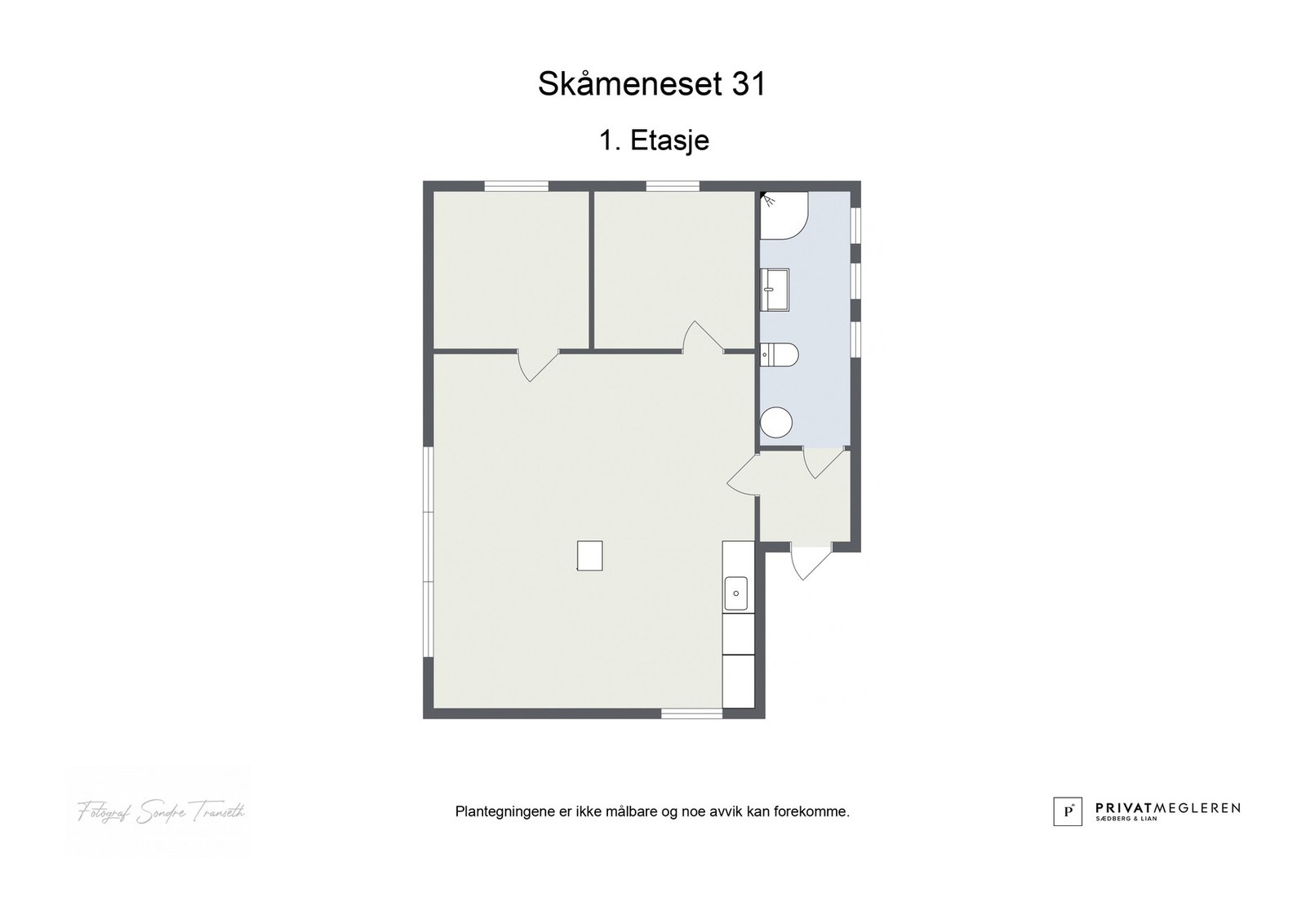 Planskisse Galleribilde